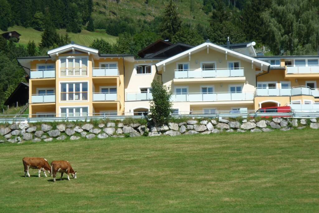 Apartment Hohe Tauern Piesendorf Buitenkant foto