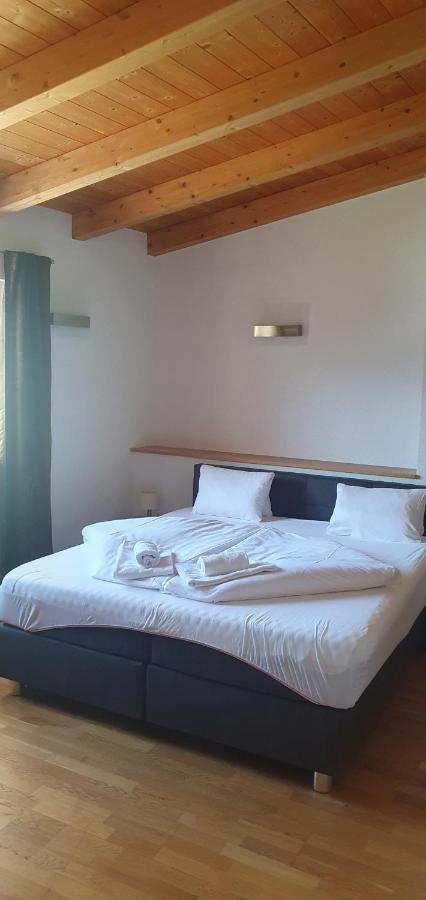 Apartment Hohe Tauern Piesendorf Buitenkant foto