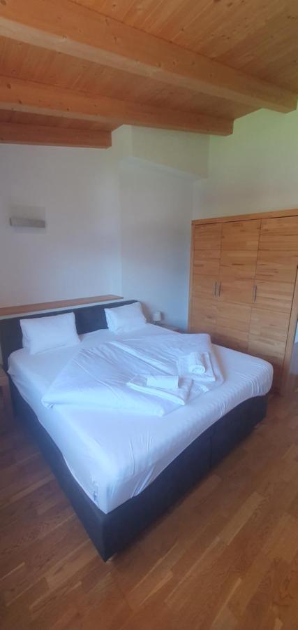 Apartment Hohe Tauern Piesendorf Buitenkant foto